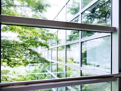 Commercial Window Cleaning