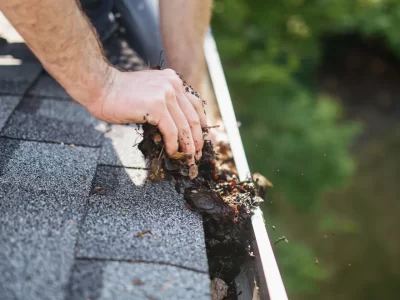 Gutter Cleaning